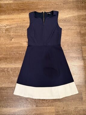 The Limited Navy Dress with White Hem Mini